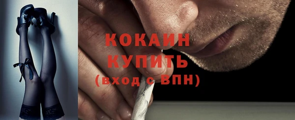 мдпв Рославль