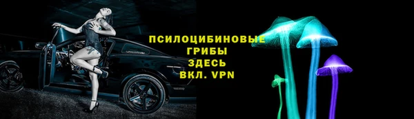 прущий лед Арсеньев