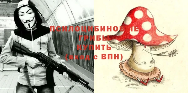 прущий лед Арсеньев