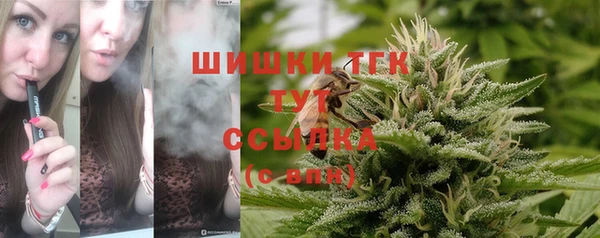 прущий лед Арсеньев