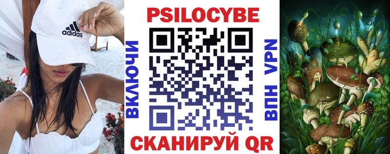 Галлюциногенные грибы мицелий Вяземский